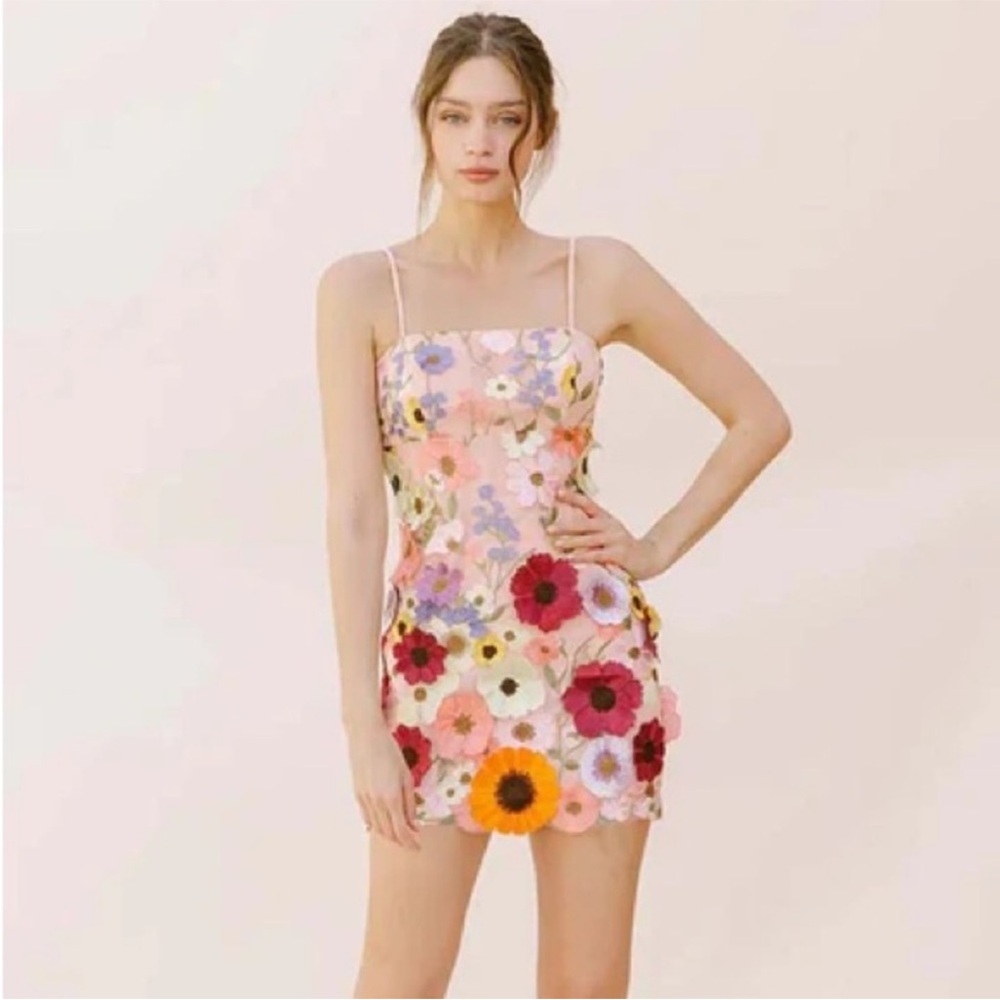 Storia Floral Embroidered Mini Dress